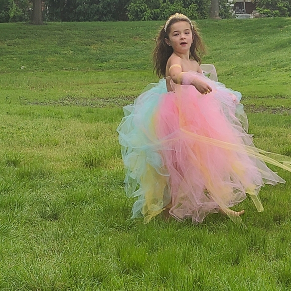 Baby   Toddler Youth Girls tulle tutu dress custom - Picture 4 of 4